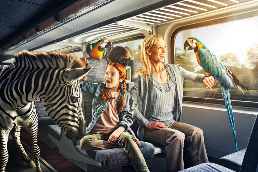 不用登录账号的DDOS网页端平台